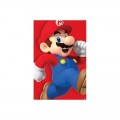 Super Mario                                                 